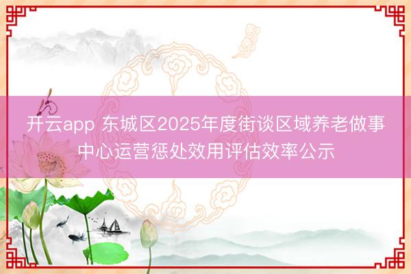 开云app 东城区2025年度街谈区域养老做事中心运营惩处效用评估效率公示