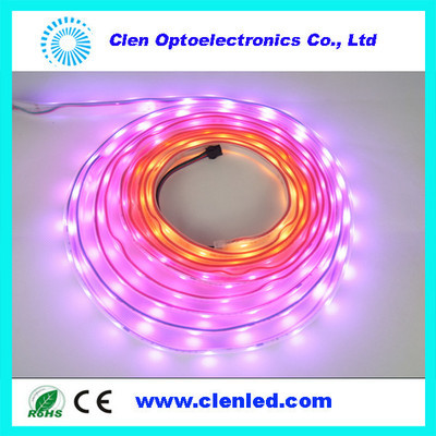 【最新DMX512 并联控制 幻彩灯条 30灯 12V】价格,厂家,图片,LED灯带/灯条/灯片,深圳市晨亮光电科技-